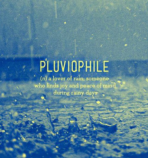 Choose and Book: Definition: Pluviophile