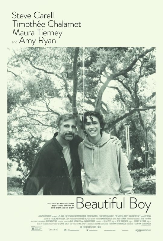 beautiful boy movie poster