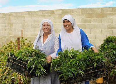 Weed for Jesus: Catholic Nuns in California Grow and Sell marijauna