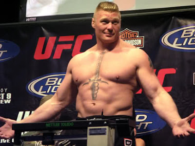 brock lesnar mma