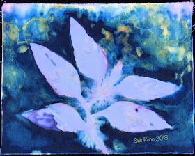 Wet cyanotype_Sue Reno_Image 492
