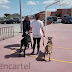 Demostraciones caninas para concienciar a los más jóvenes en la prevención de la violencia de género