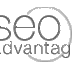 SEO Advantages