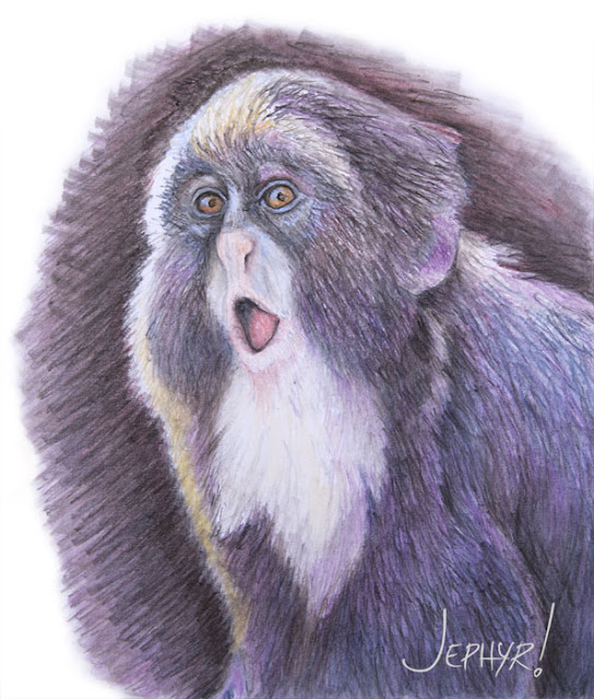 "Startled Monkey" Photo Study - Copyright 2018 - Jephyr - All Rights Reserved