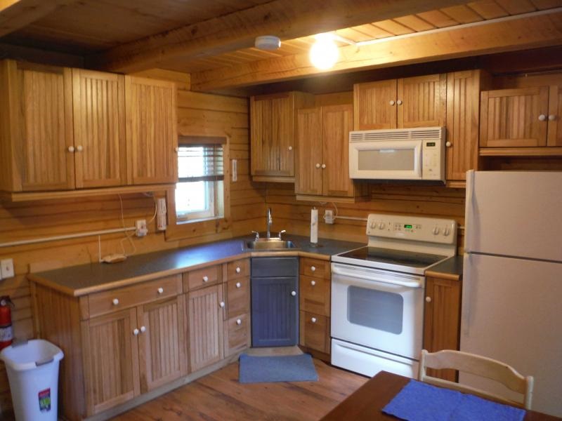 small-log-cabin-in-alaska-with-a-rustic-kitchen