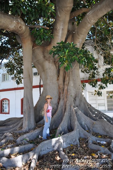 Museo El Dique