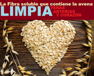 La fibra soluble que contiene la avena limpia venas, arterias y corazón. Y la fibra insoluble limpia el aparato digestivo