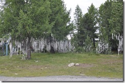 06-26 vers Pazyryk 060 800X