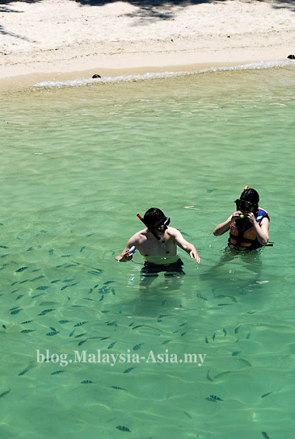 Snorkeling at Manukan Island