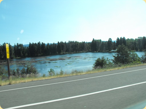 Drive to Issaquah, WA 050