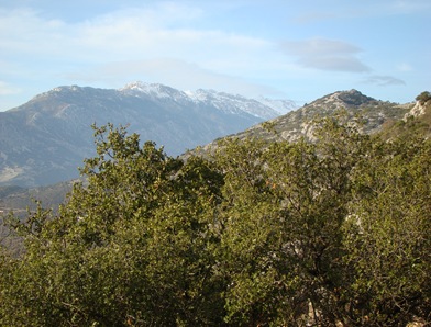 DSC00087