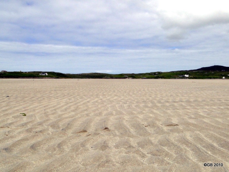 DSC02720