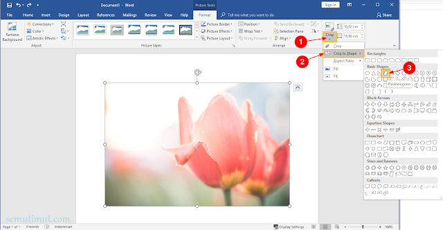 cara crop gambar pada microsoft word