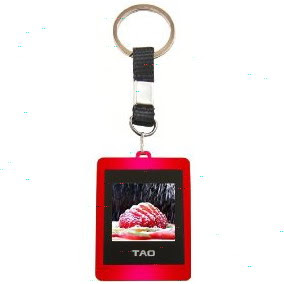 Christmas Gift Ideas-Digital Photo Key Chain