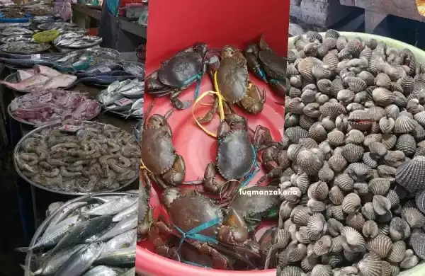 Gambar ikan kerang sotong dan ketam nipah di Pasar Gok Kapor Kota Bharu Kelantan