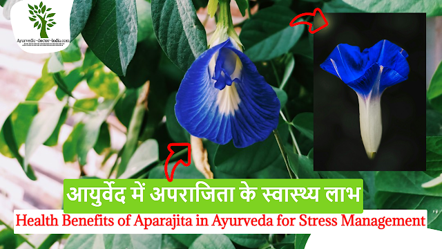 Benefits of Aparajita In Ayurveda