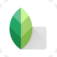 snapseed for pc