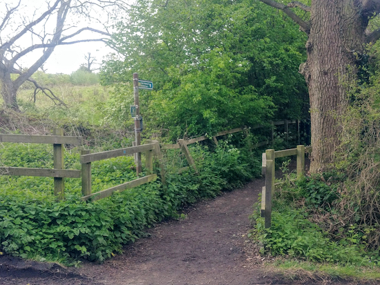 Shenley footpath 10 S of Radlett Lane