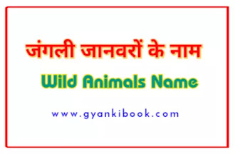 Wild Animals Name In Hindi