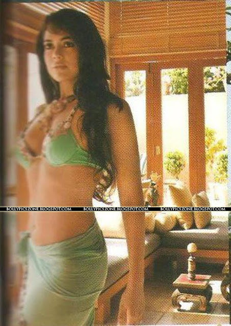 Sameera Reddy Hot Bikini Pic - Sameera Reddy Hot Bikini Pics