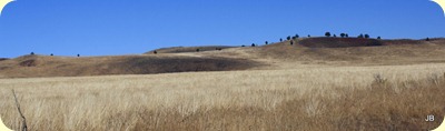 IMG_5089