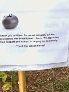 Thank You Wilson Farms!