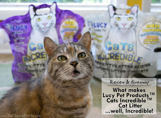 Review & Giveaway: What makes Lucy Pet Products™ Cats Incredible™ Cat Litter...well, Incredible!