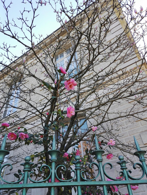 nantes-frühling-tipps-ankommen