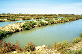 Parque Natural de la Bahía de Cádiz