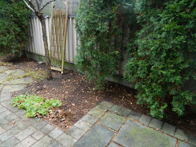 Oakwood Vaughan Toronto Backyard Fall Cleanup After by Paul Jung Gardening Services--a Toronto Gardening Services Company