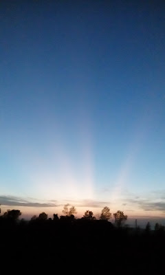 crepuscular rays over the escarpment