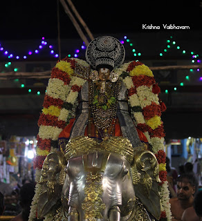 Udaiyavar,Emperumanar,Parthasarathy Perumal,Ramanujar, Varushotsavam, 2018, Video, Day 08, Yannai Vahanam,Divya Prabhandam,Triplicane,Thiruvallikeni,Utsavam