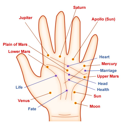 Love Marriage palmistry Laxmikant Babaji: Palmistry: Love in the Hands