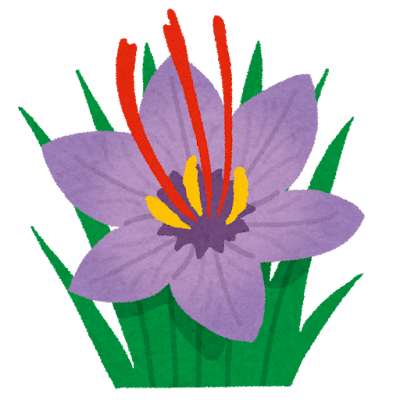 サフランの花のイラスト