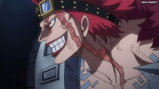 ワンピースアニメ 1017話 ユースタスキッド ジキジキの実 ギザ男 EUSTASS KID | ONE PIECE Episode 1017