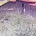 VÍDEO MOSTRA MOMENTO EM QUE CRIMINOSOS CORTAM CERCA ELÉTRICA E PULAM MURO PARA PRATICAR CRIME DE FURTO EM MOSSORÓ--RN