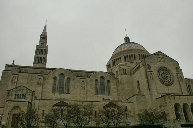IMG_2584 IMG_2584