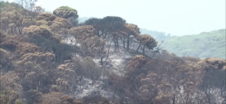 Moroccan authorities are currently engaged in combatting a wildfire.