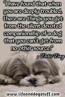 Beautiful Dog Quotes and Sayings