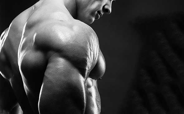 科学的に筋肉を減らさず体脂肪だけを落とすボディビル式食事法 パレオな男