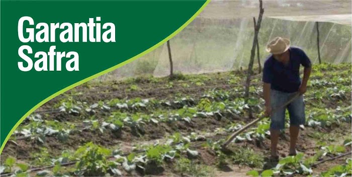 Pagamento do Garantia Safra começa nesta segunda para mais de 92,5 mil agricultores da PB