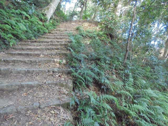 正面登り道を登ります