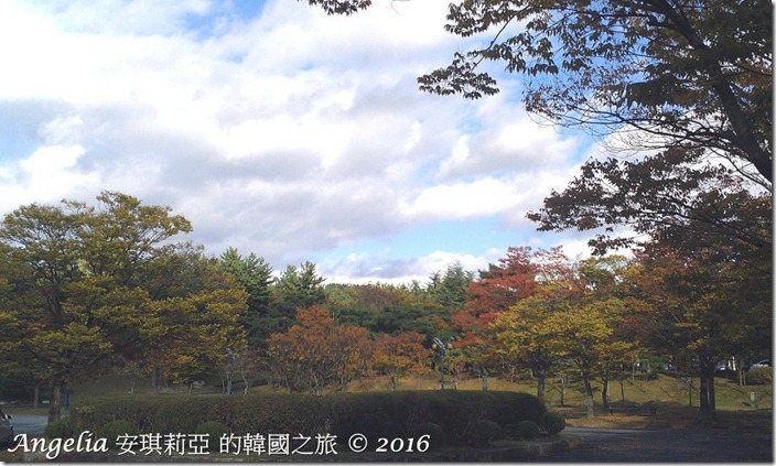 TeddyBearMuseum-07