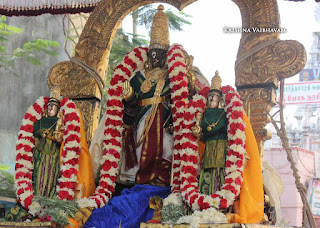 Sri Parthasarathy Perumal, Dhavana Utsavam, Thirumanjanam, Purappadu,  Triplicane,  Purappadu, Thiruvallikeni, Utsavam, 