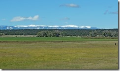 Albuquerque drive 031