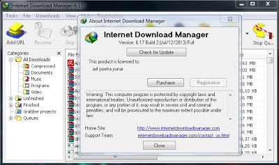Free Download IDM 6.17 Full Version Terbaru 2013