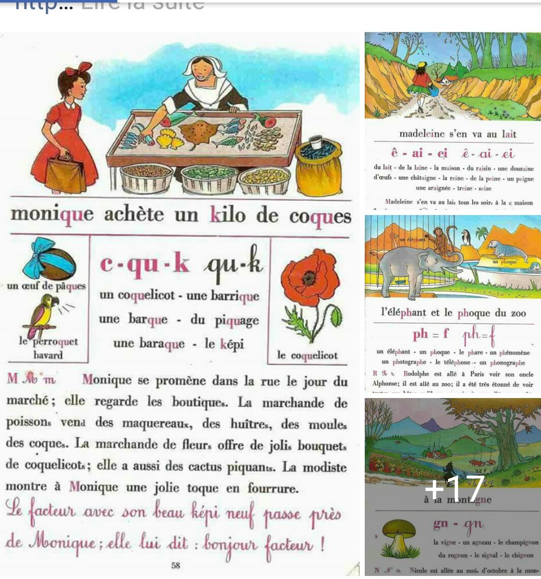 لغة فرنسية:بعض النصوص لتدريب تلاميذتكم على الاملاء واتقان قراءة النصوص