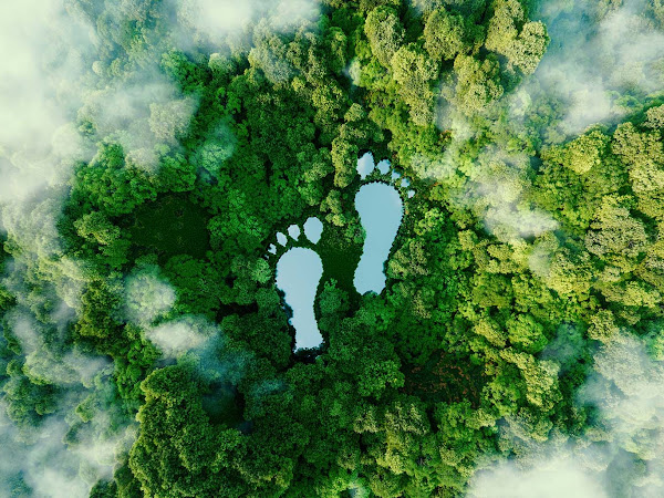 6 Ways to Shrink Your Company’s Carbon Footprint