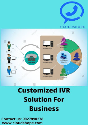 Customized IVR Solution for Business