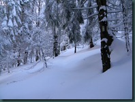 DSCN1190